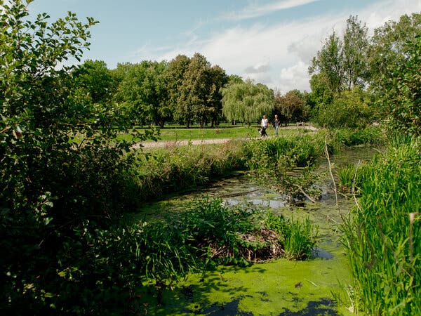 A stream of marshy water in the foreground. Two people in the distance walk on a path beside it. Green trees, blue sky.